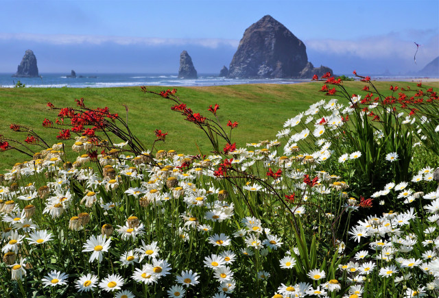 Haystack Rock