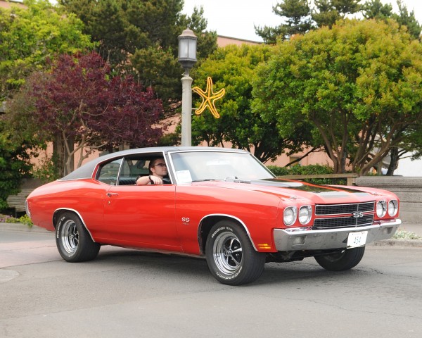 Muscle and Chrome Car Show